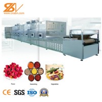 CE certification Microwave Curing Drying Sterilization Machine